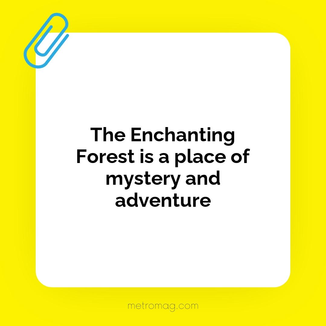 The Enchanting Forest is a place of mystery and adventure