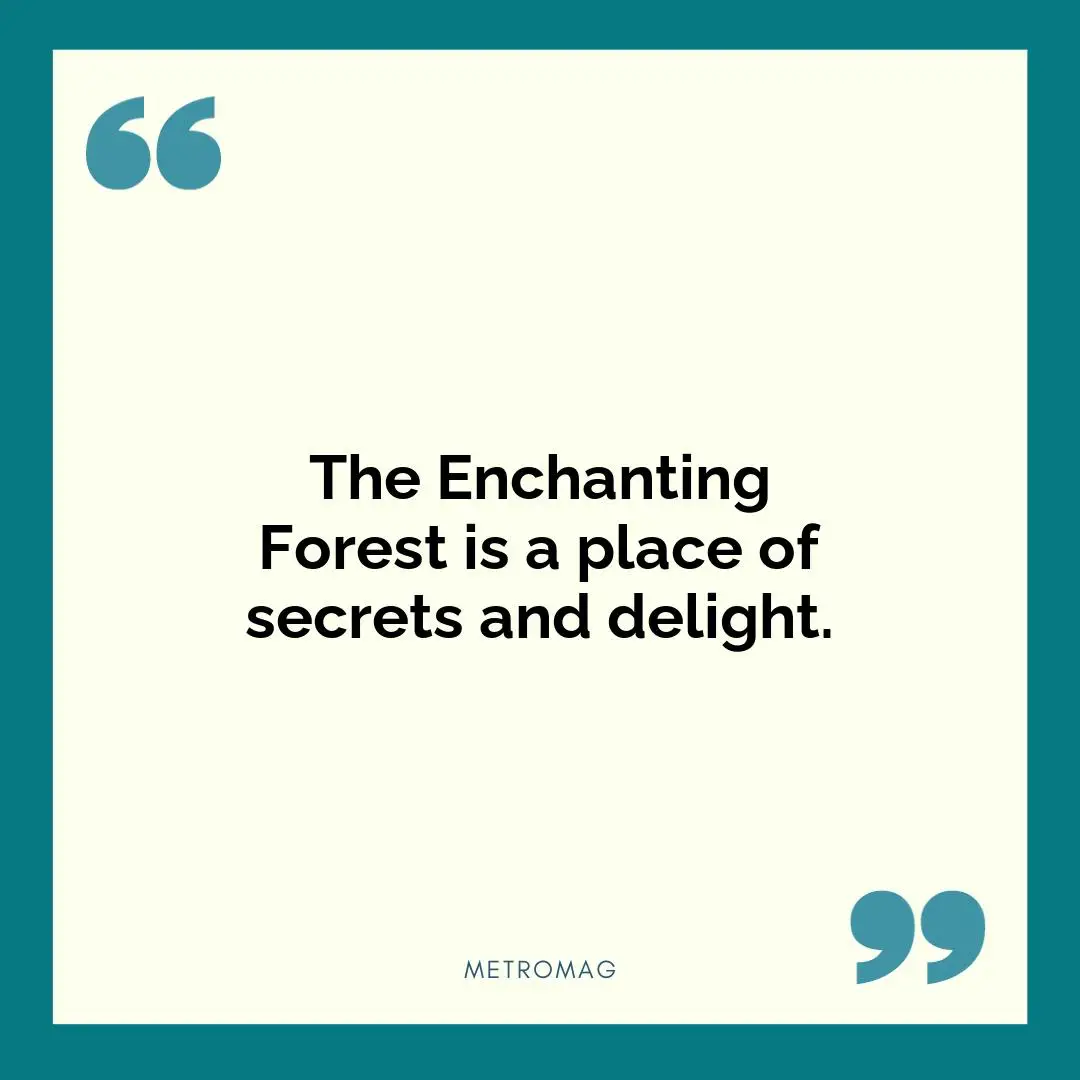 The Enchanting Forest is a place of secrets and delight.