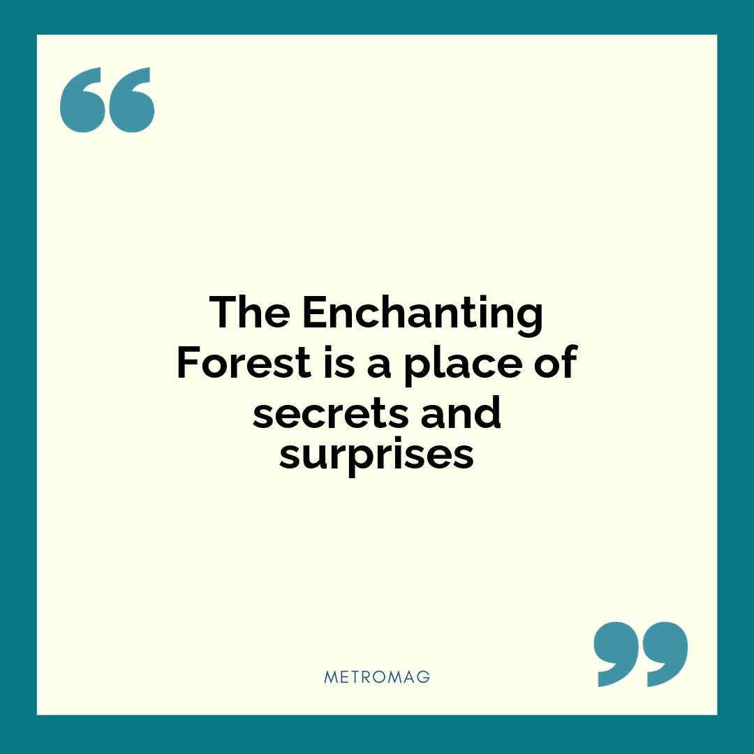The Enchanting Forest is a place of secrets and surprises