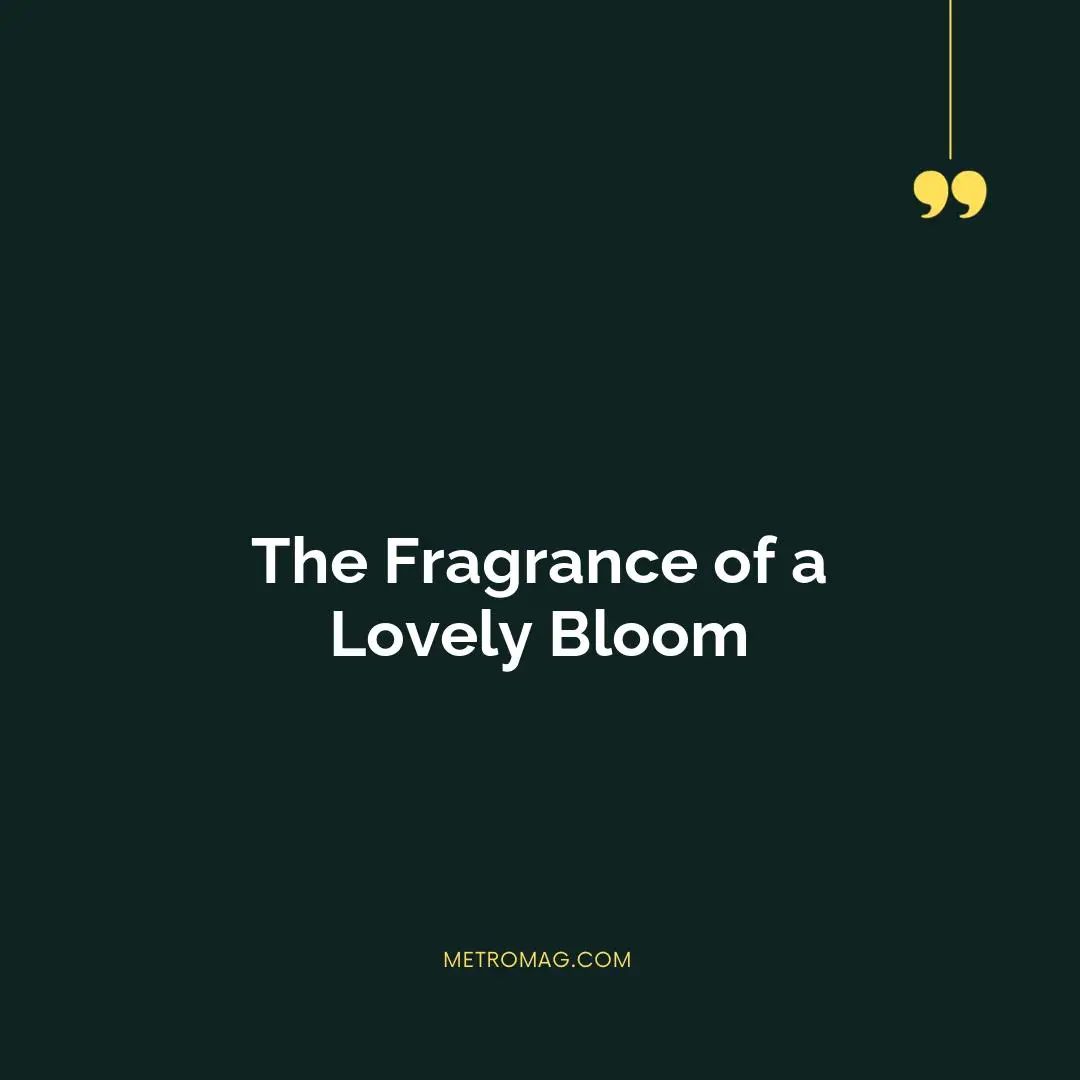 The Fragrance of a Lovely Bloom