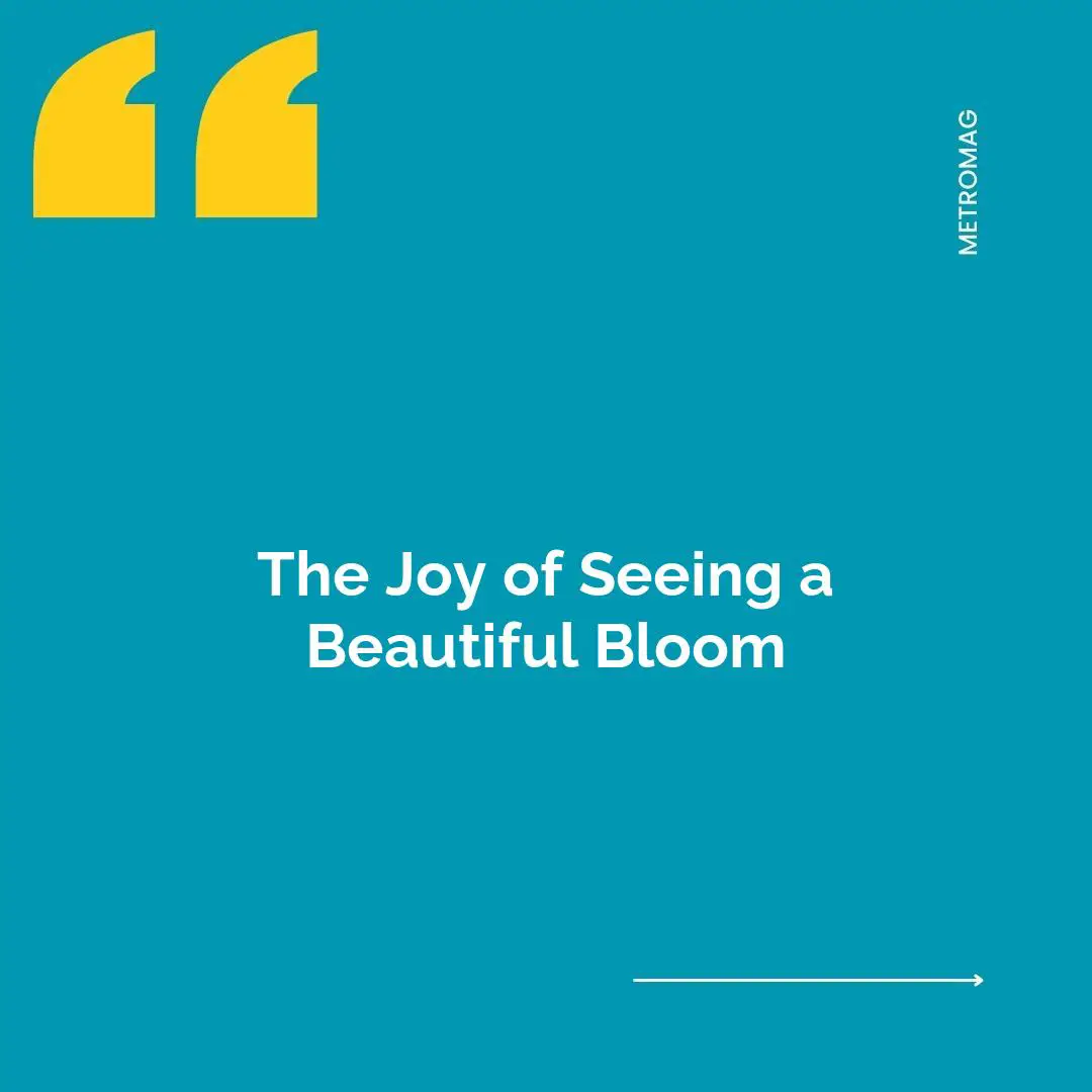 The Joy of Seeing a Beautiful Bloom