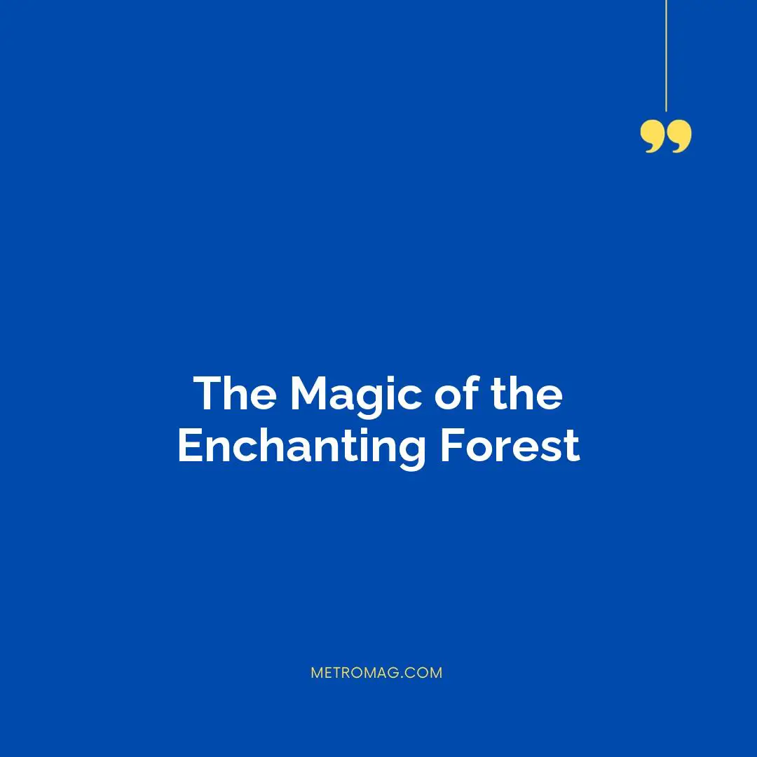The Magic of the Enchanting Forest