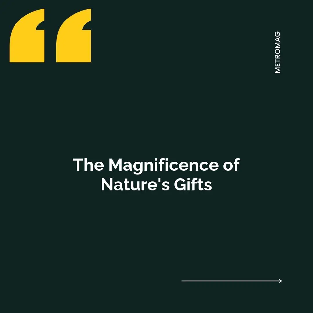The Magnificence of Nature's Gifts