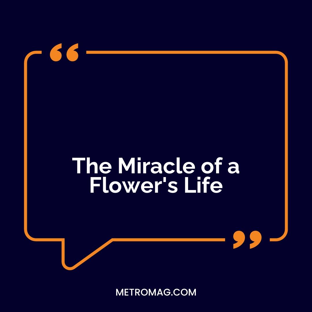 The Miracle of a Flower's Life