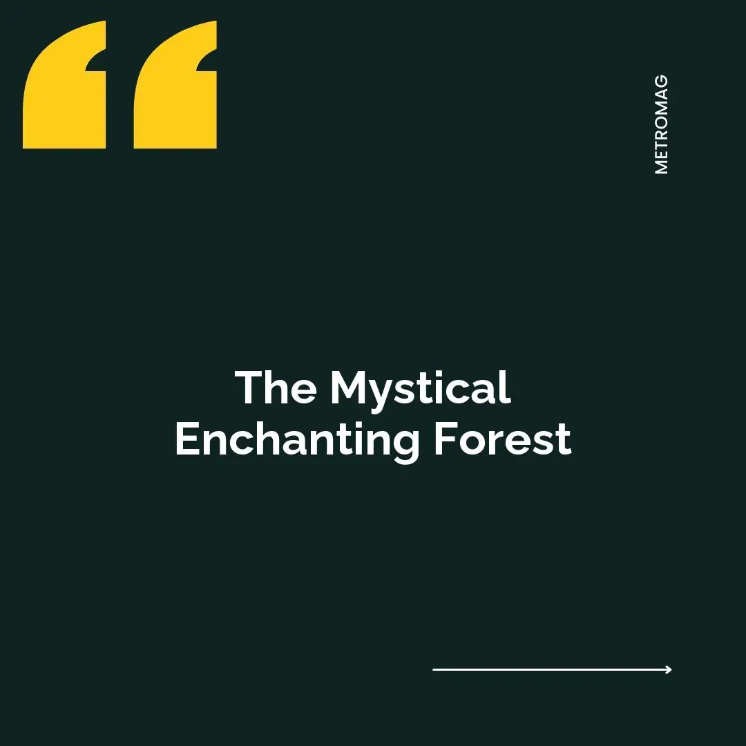 The Mystical Enchanting Forest