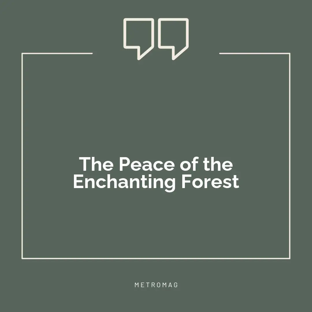 The Peace of the Enchanting Forest
