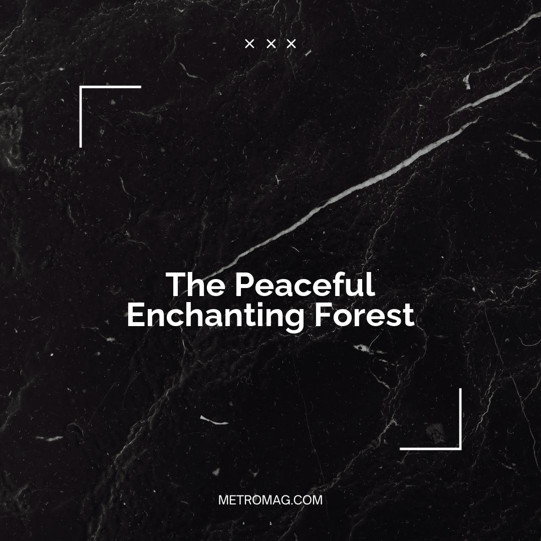 The Peaceful Enchanting Forest