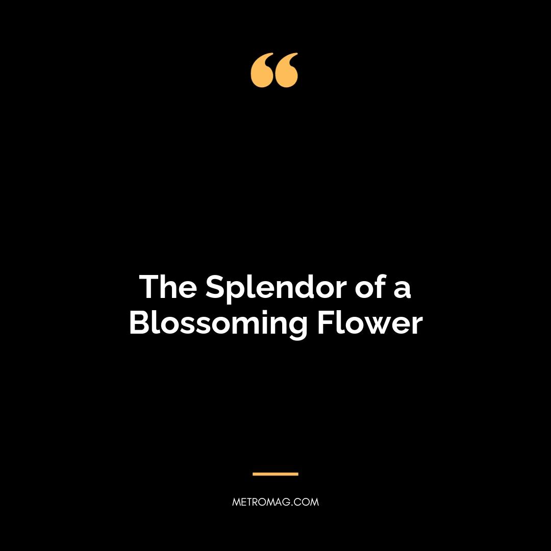 The Splendor of a Blossoming Flower