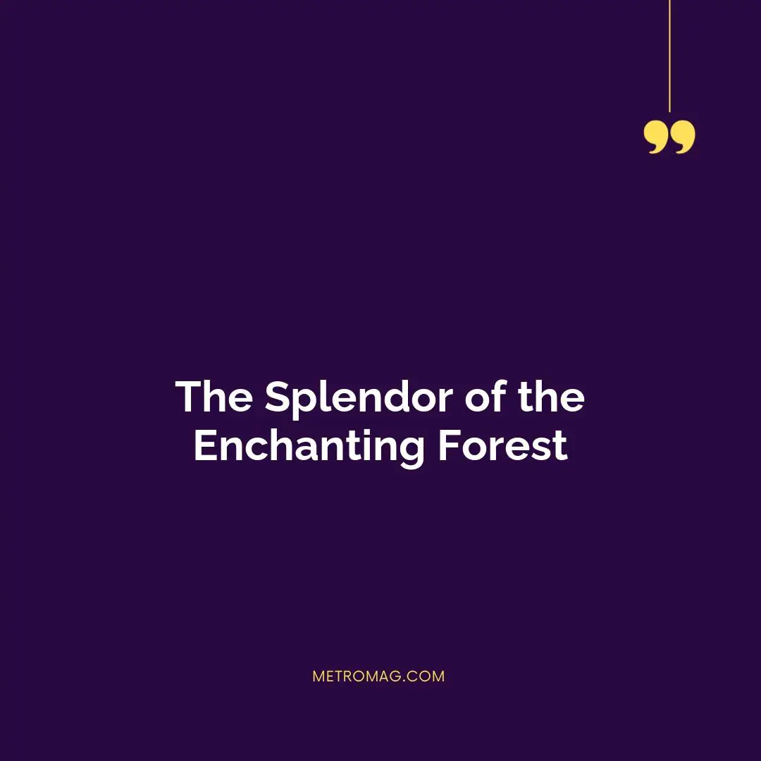 The Splendor of the Enchanting Forest