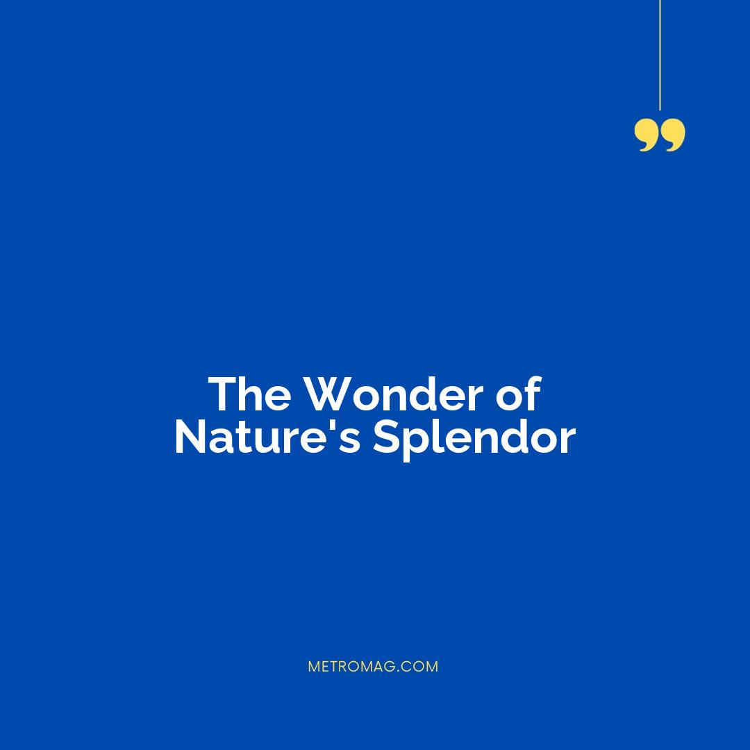 The Wonder of Nature's Splendor
