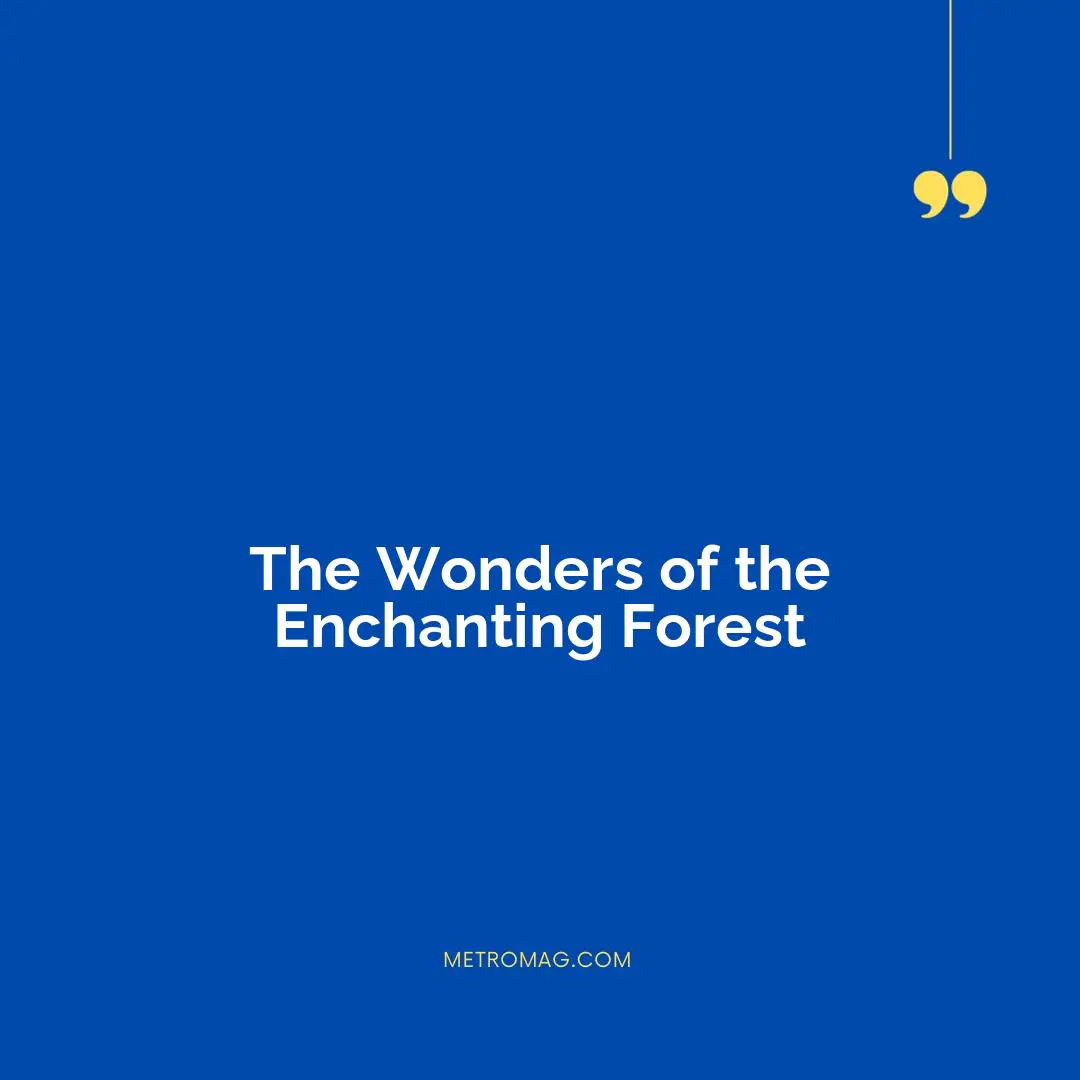 The Wonders of the Enchanting Forest