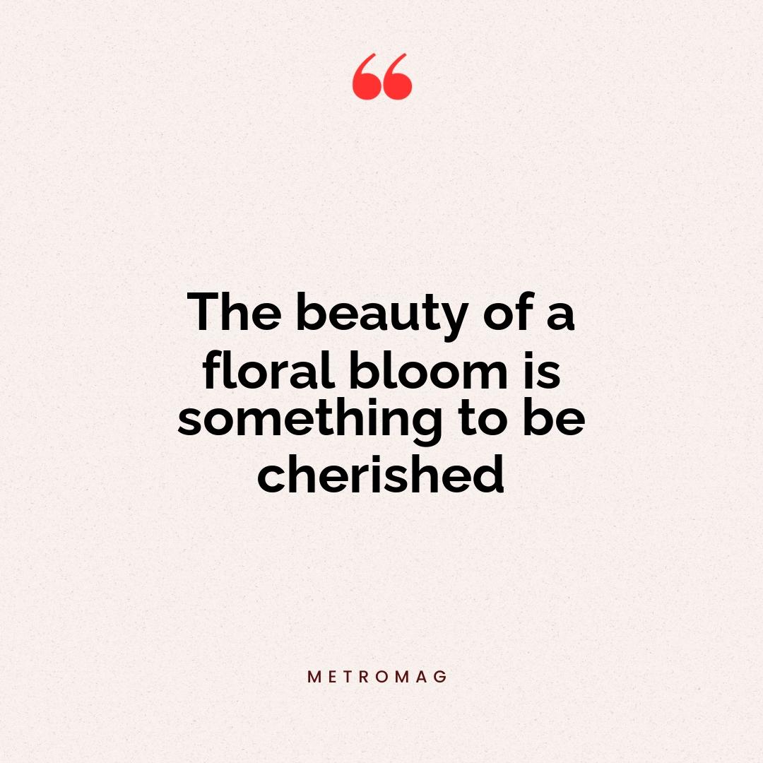 The beauty of a floral bloom is something to be cherished