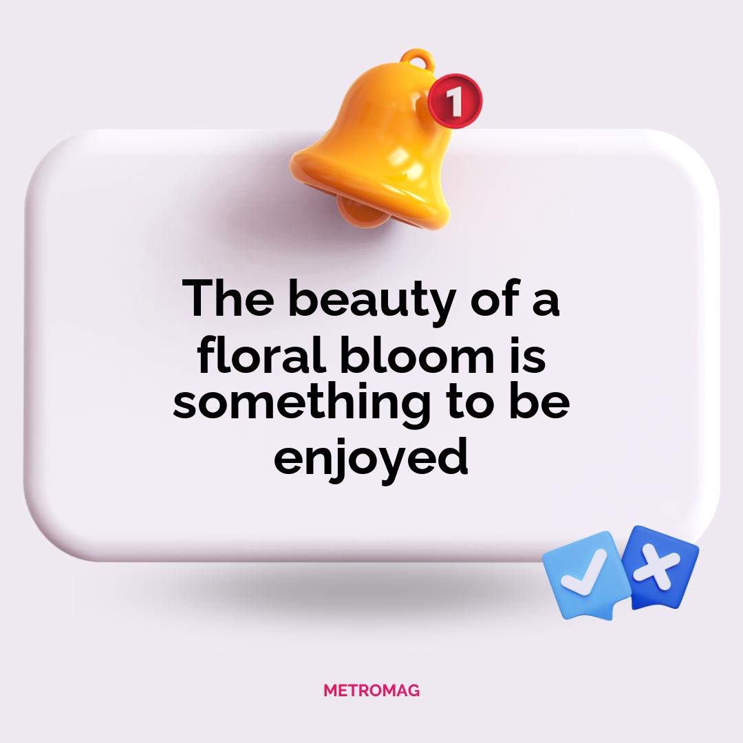 The beauty of a floral bloom is something to be enjoyed
