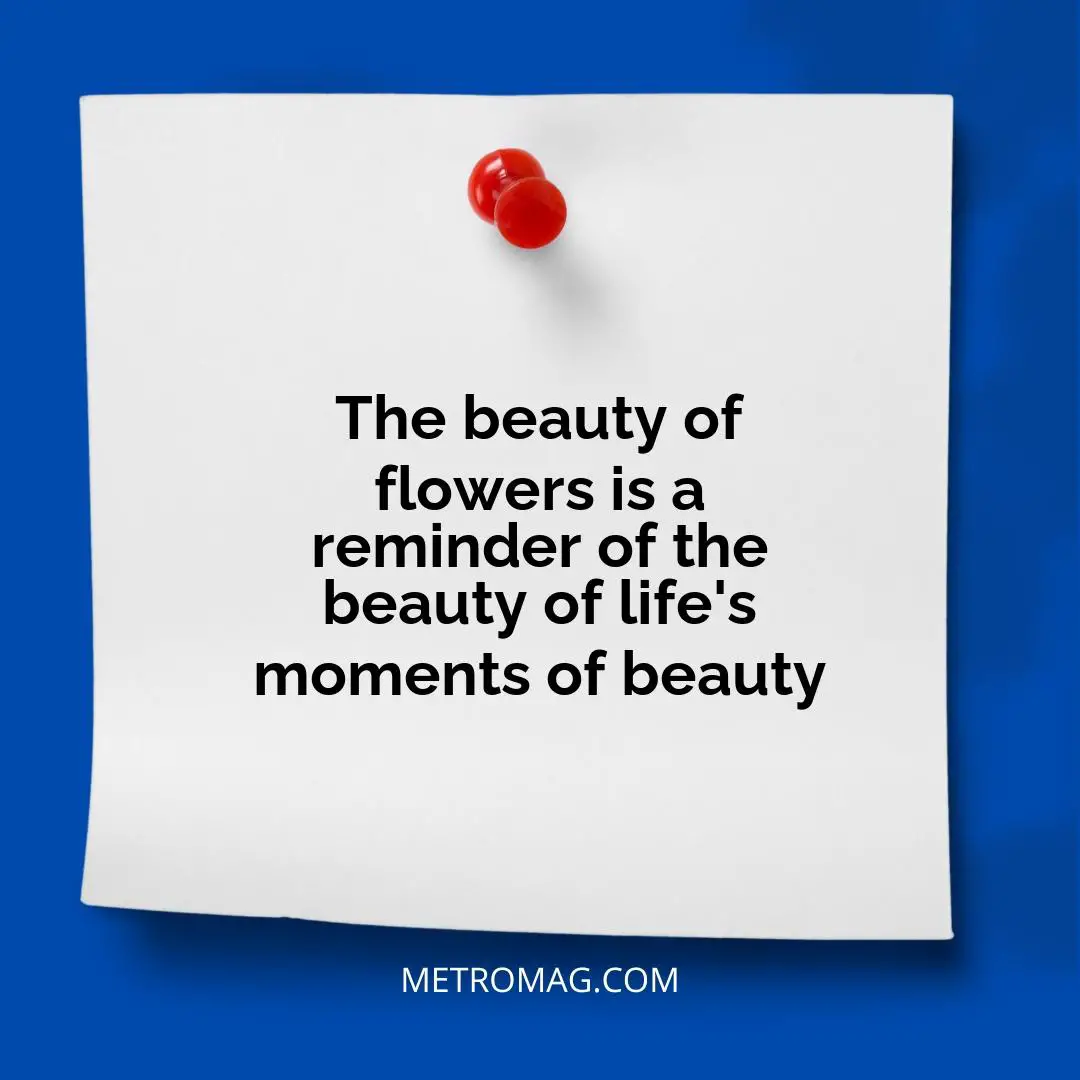 The beauty of flowers is a reminder of the beauty of life's moments of beauty