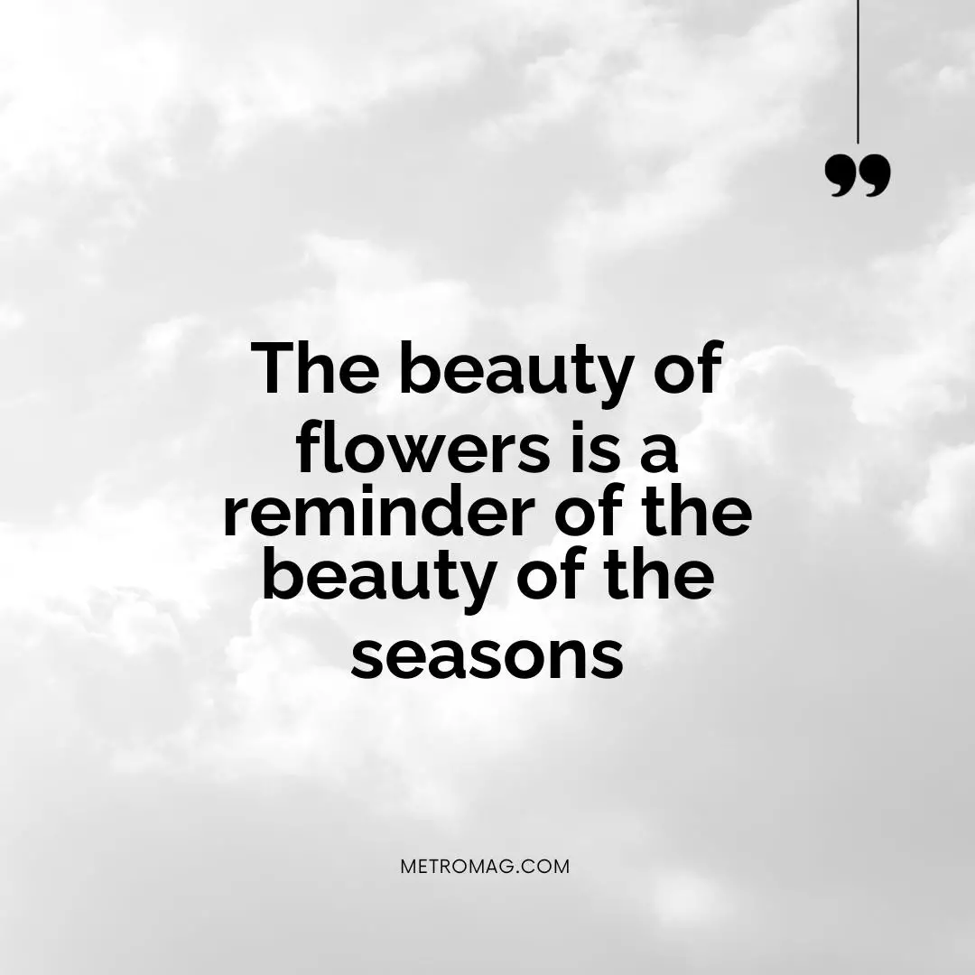 The beauty of flowers is a reminder of the beauty of the seasons