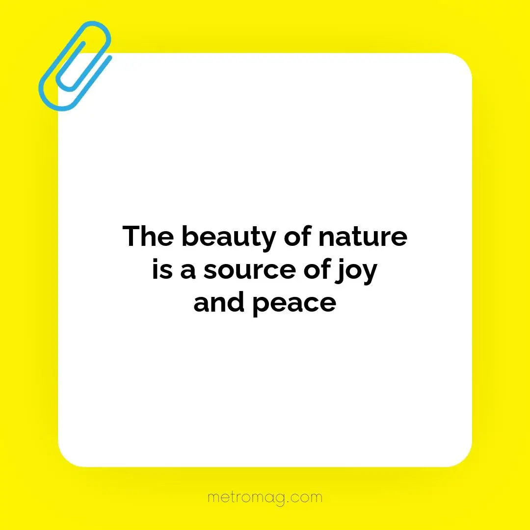 The beauty of nature is a source of joy and peace