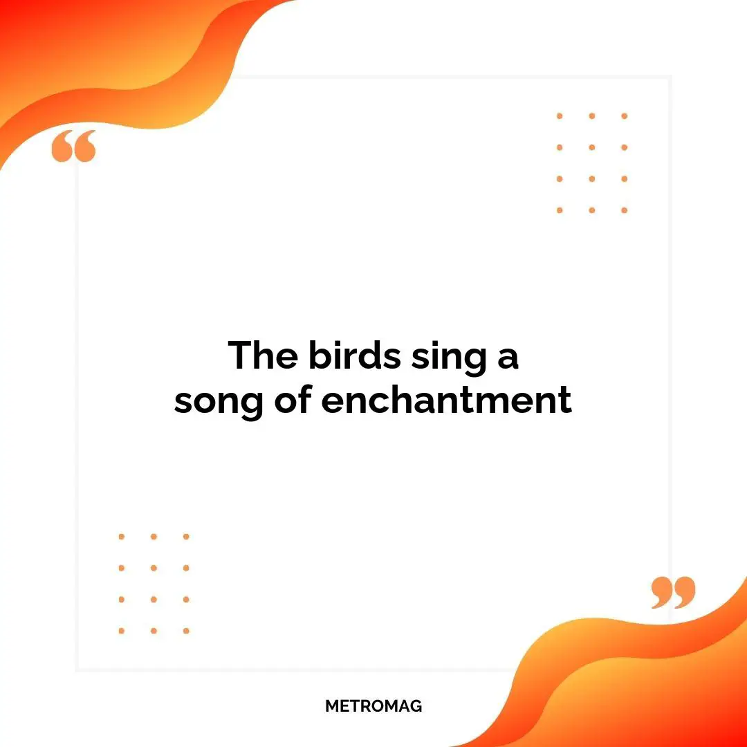 The birds sing a song of enchantment
