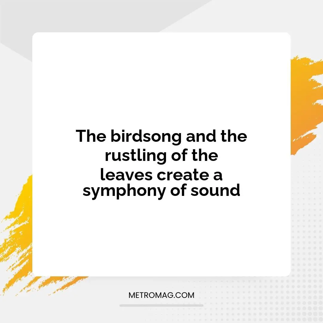 The birdsong and the rustling of the leaves create a symphony of sound