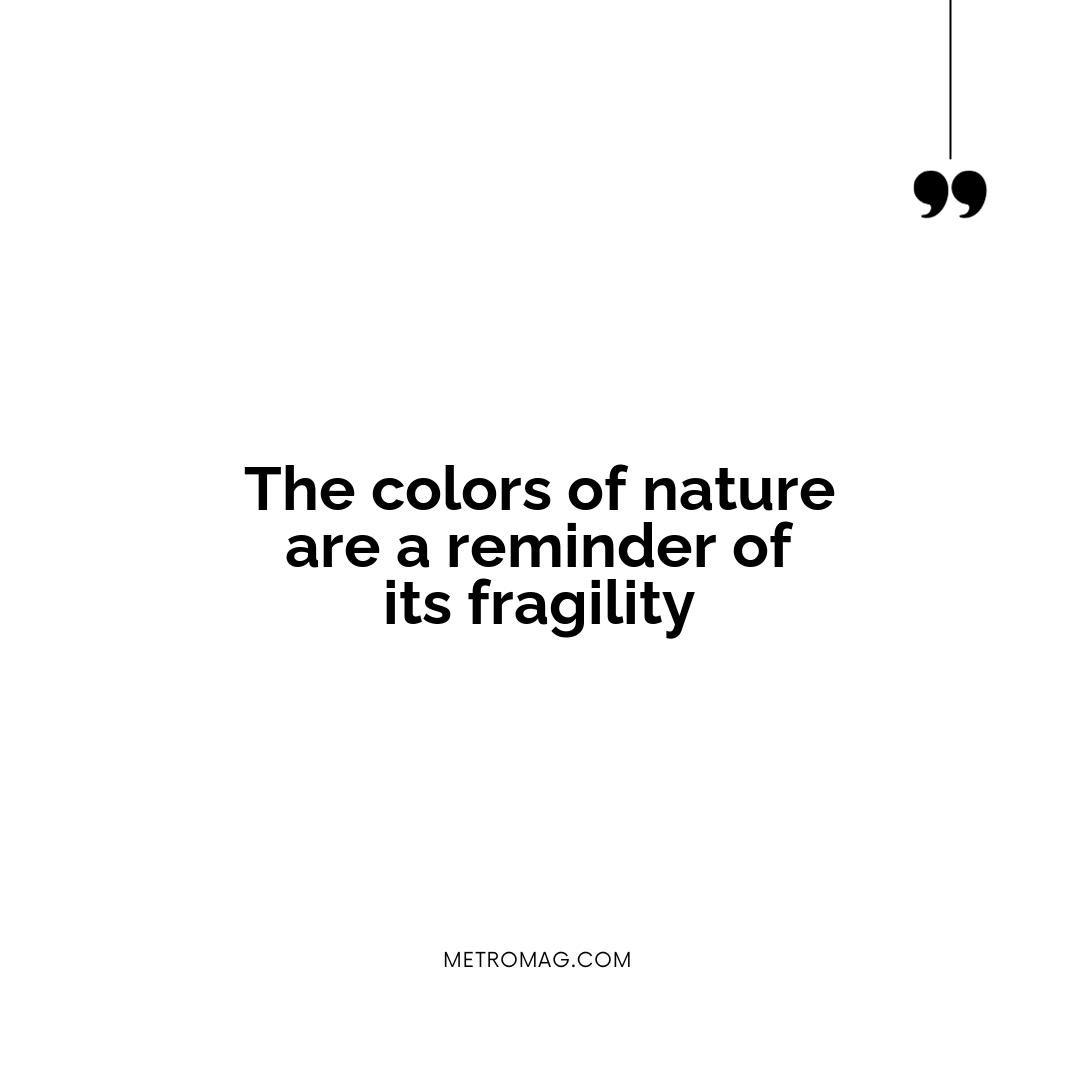 The colors of nature are a reminder of its fragility