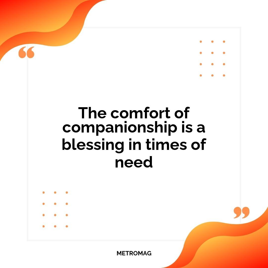 The comfort of companionship is a blessing in times of need