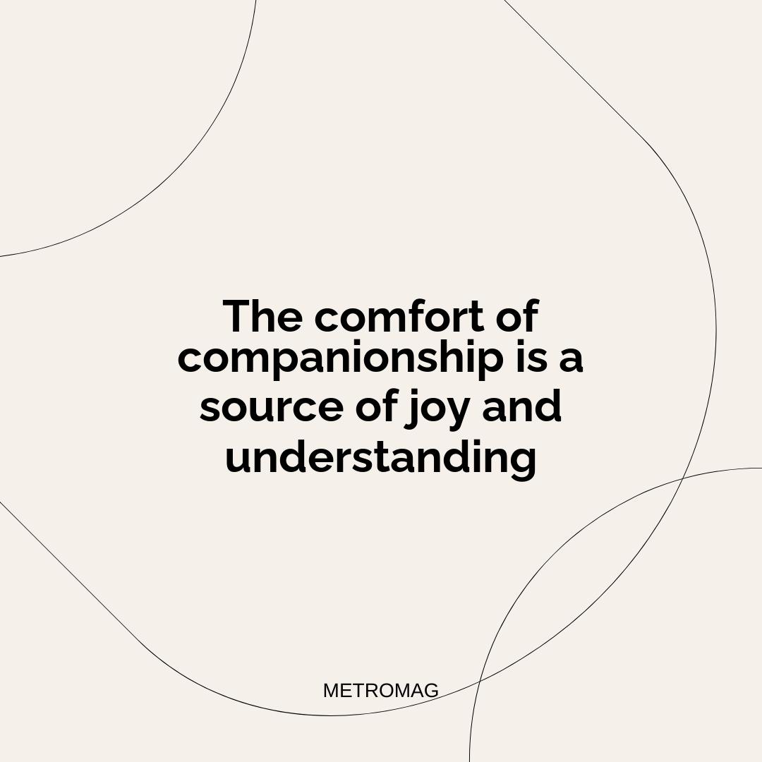 The comfort of companionship is a source of joy and understanding