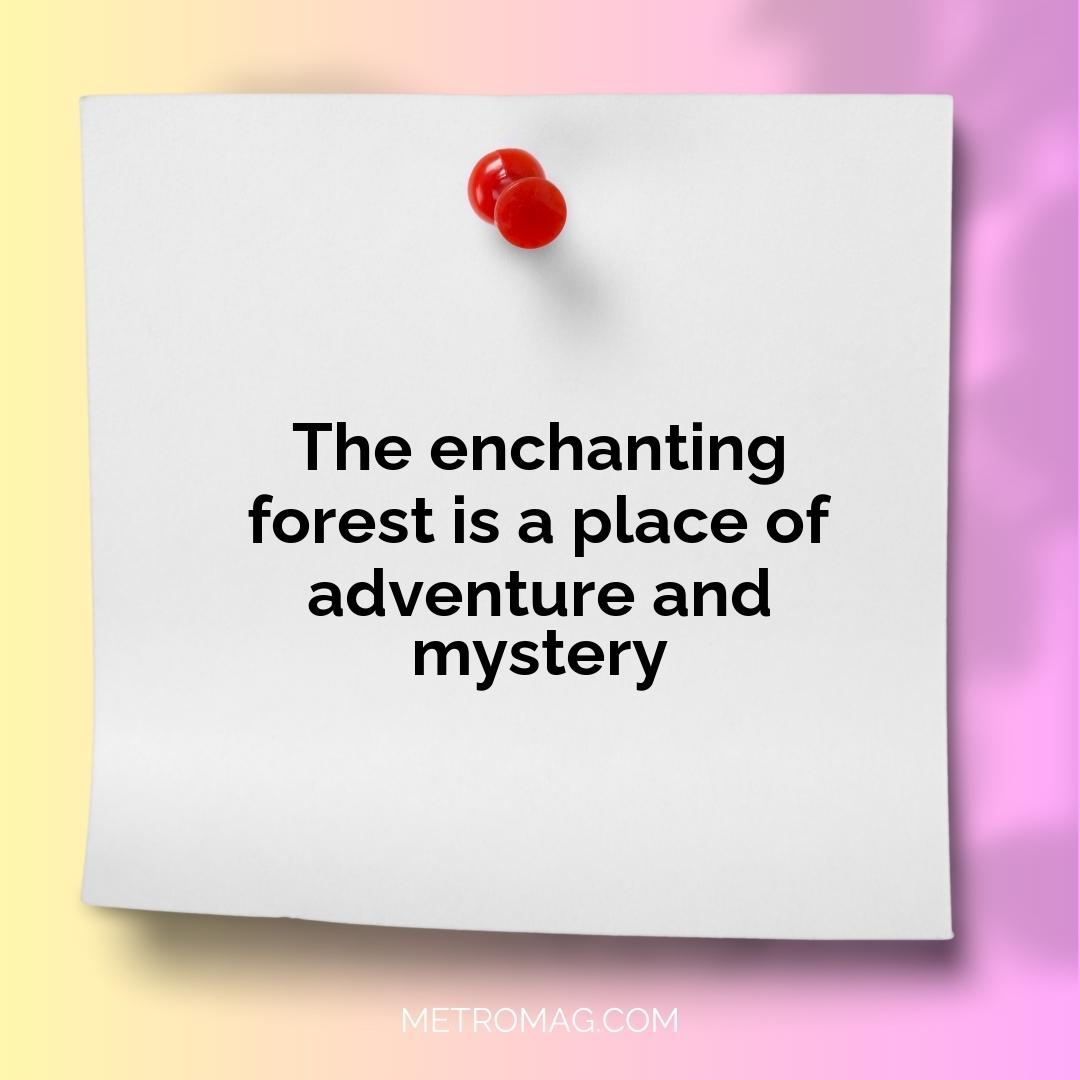 The enchanting forest is a place of adventure and mystery