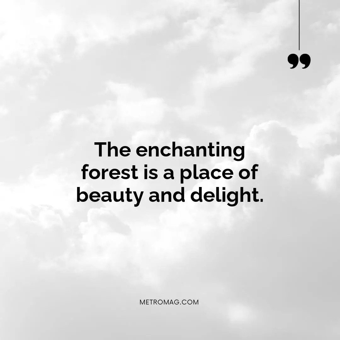 The enchanting forest is a place of beauty and delight.