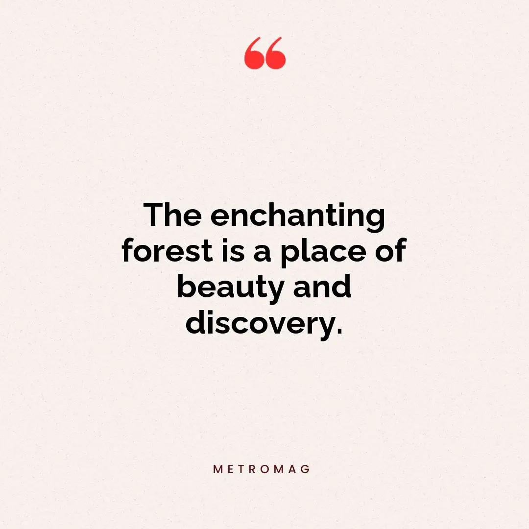 The enchanting forest is a place of beauty and discovery.