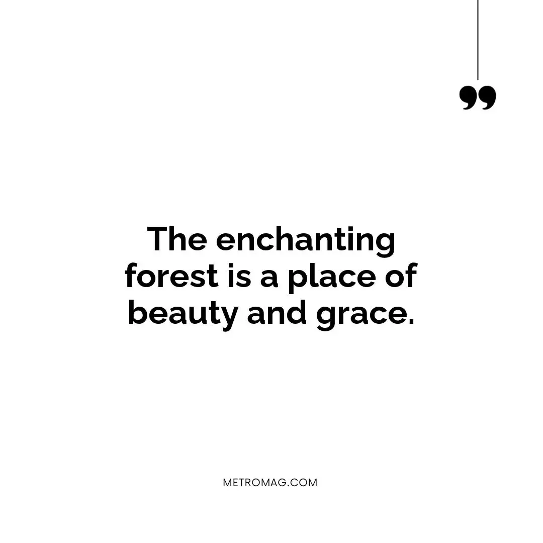 The enchanting forest is a place of beauty and grace.