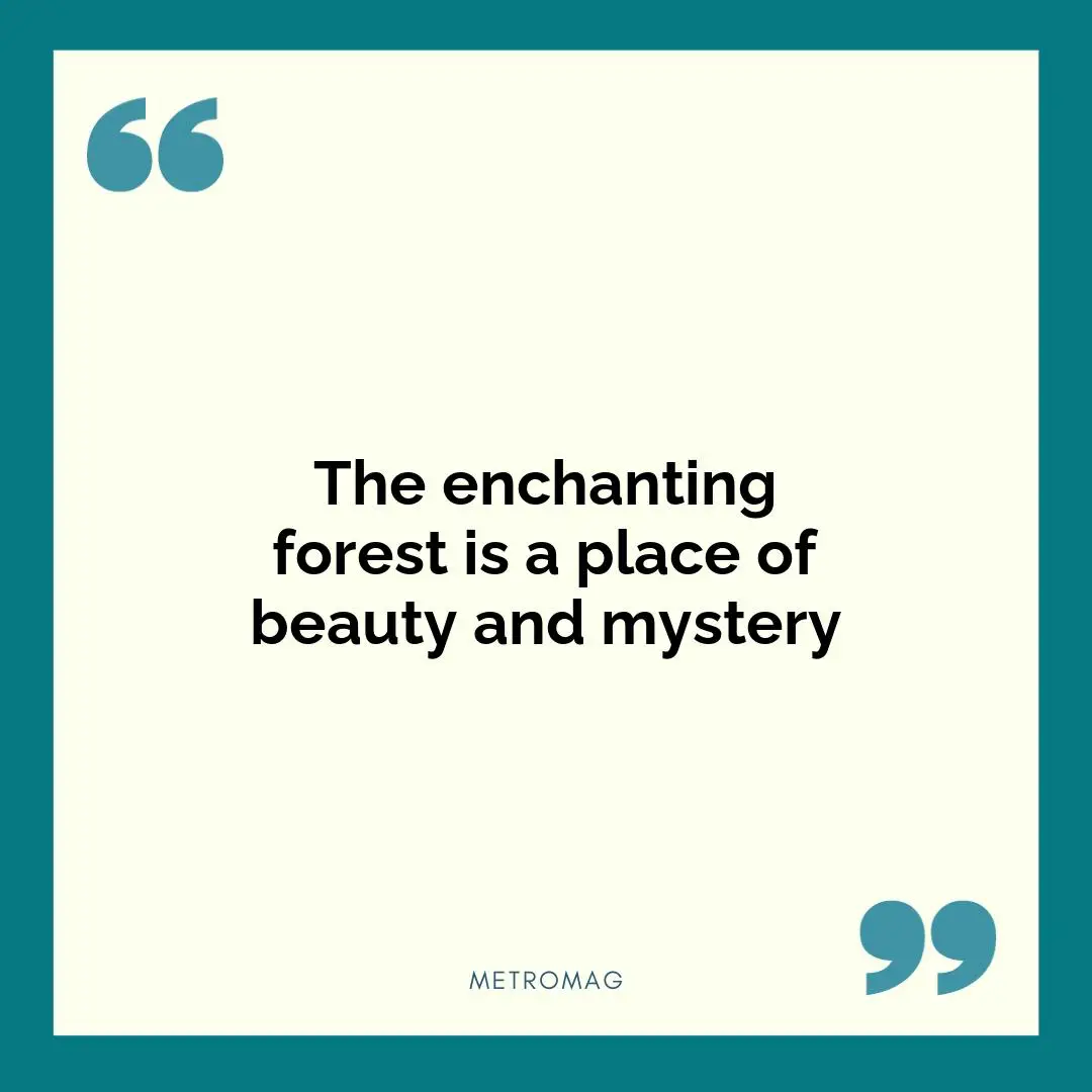 The enchanting forest is a place of beauty and mystery