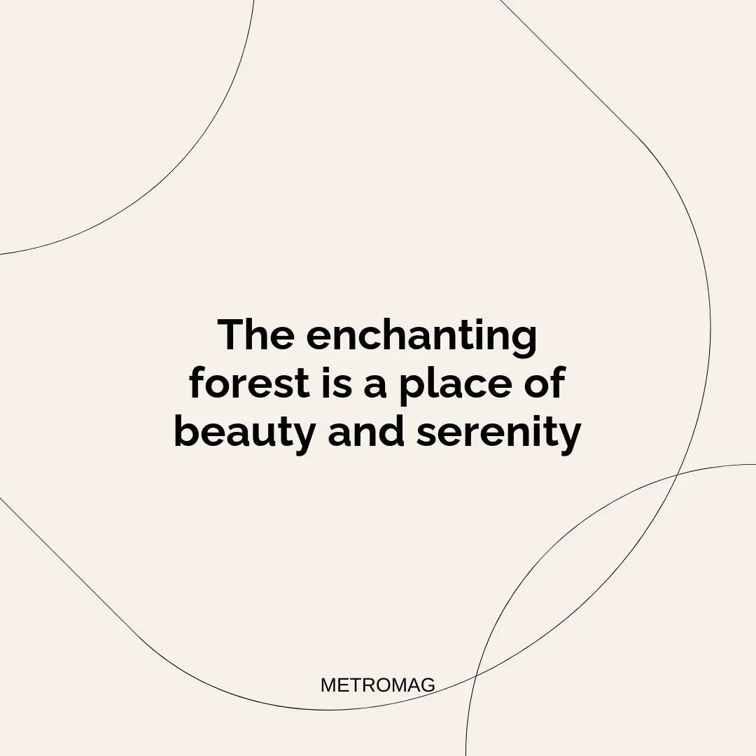 The enchanting forest is a place of beauty and serenity