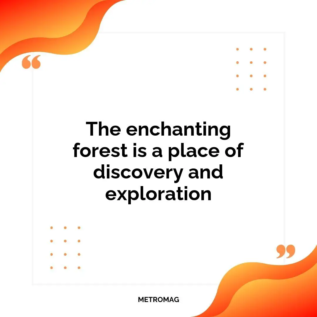 The enchanting forest is a place of discovery and exploration