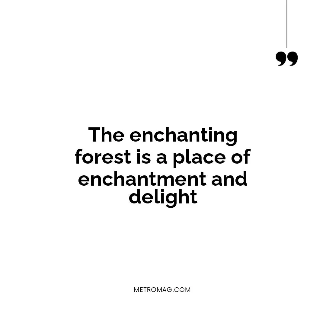 The enchanting forest is a place of enchantment and delight