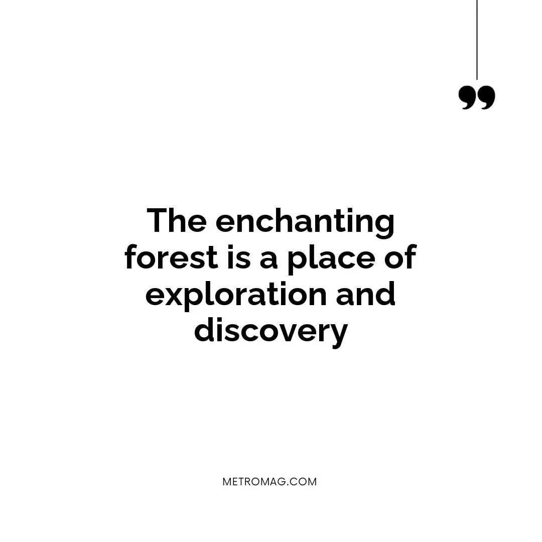 The enchanting forest is a place of exploration and discovery
