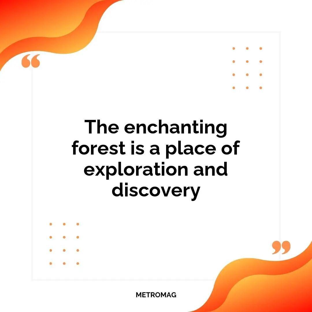 The enchanting forest is a place of exploration and discovery