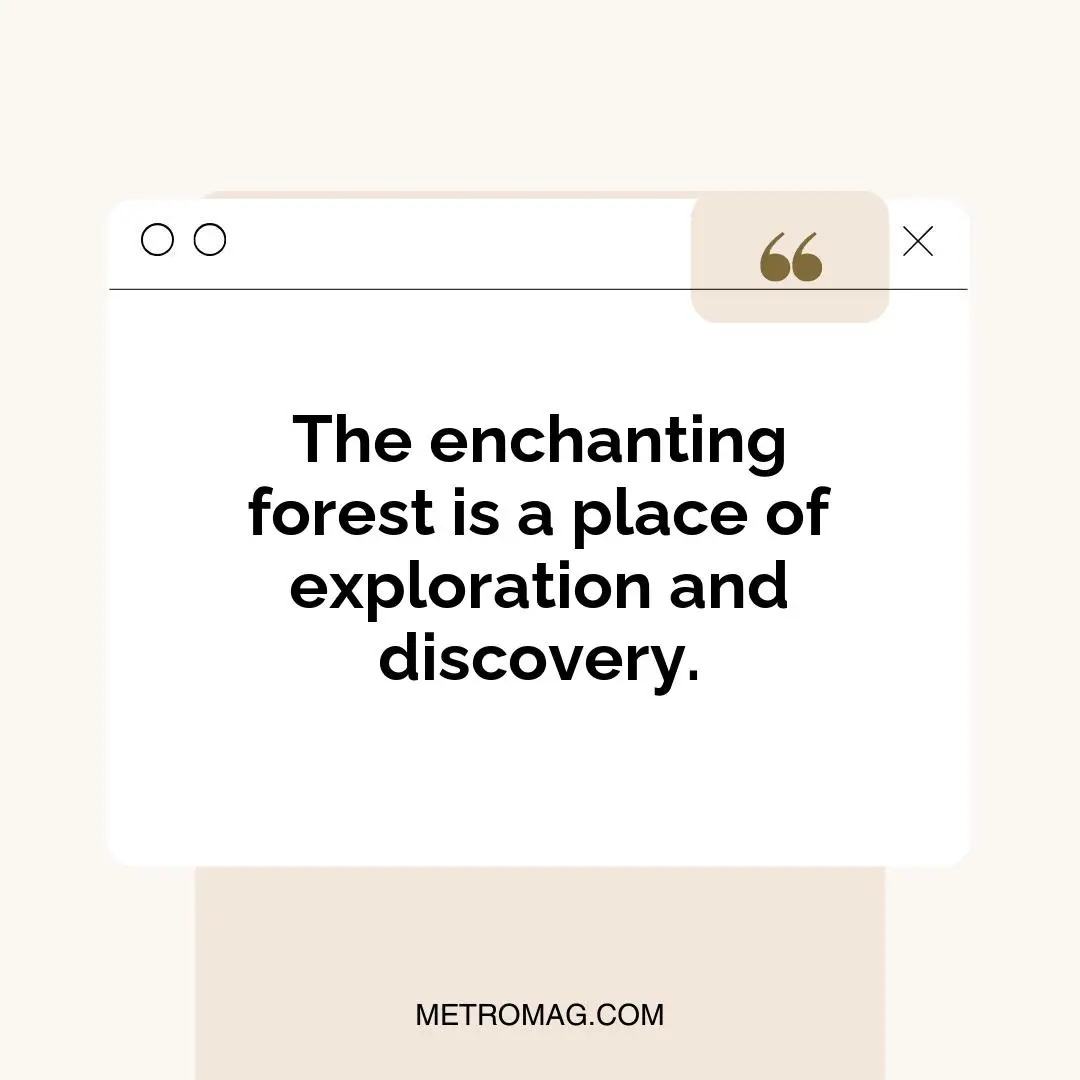 The enchanting forest is a place of exploration and discovery.