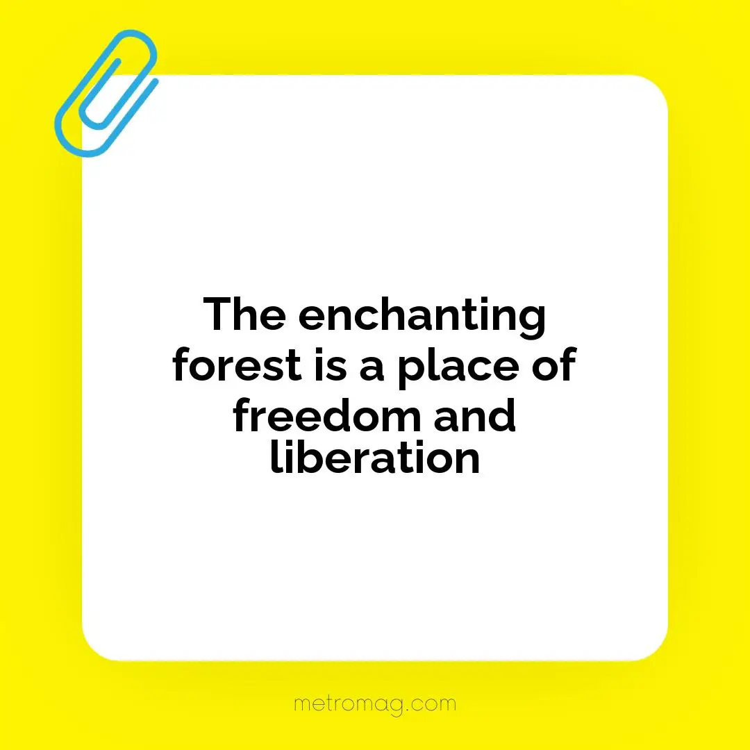 The enchanting forest is a place of freedom and liberation