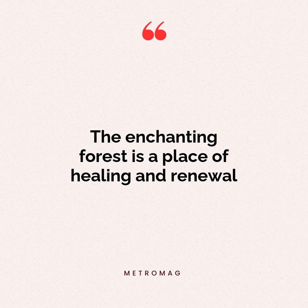 The enchanting forest is a place of healing and renewal