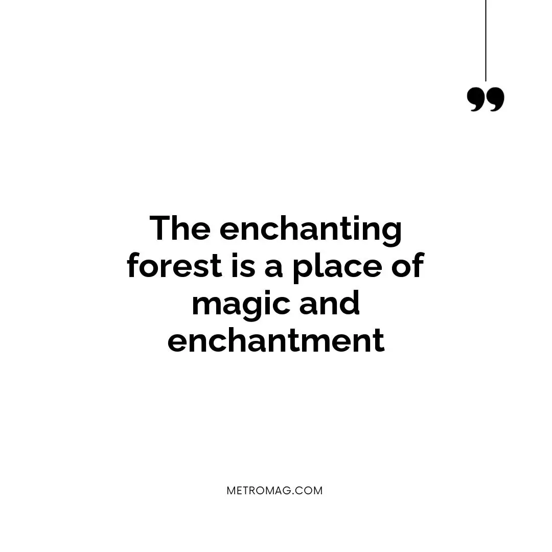 The enchanting forest is a place of magic and enchantment
