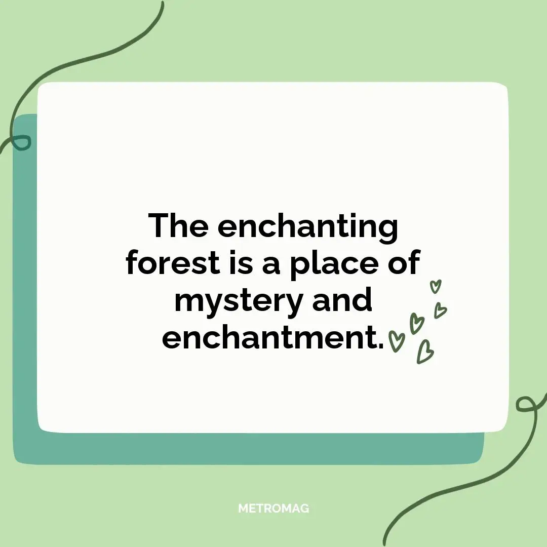 The enchanting forest is a place of mystery and enchantment.