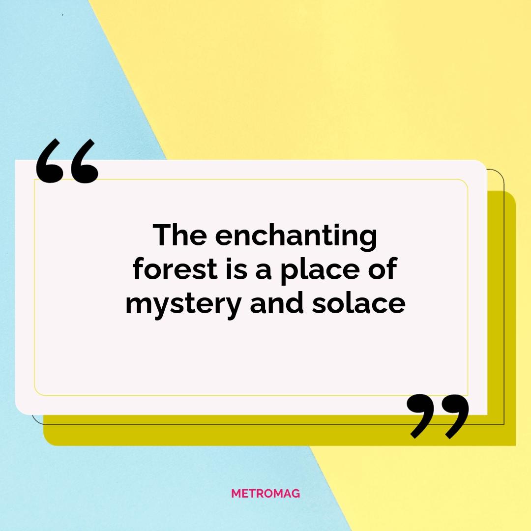 The enchanting forest is a place of mystery and solace