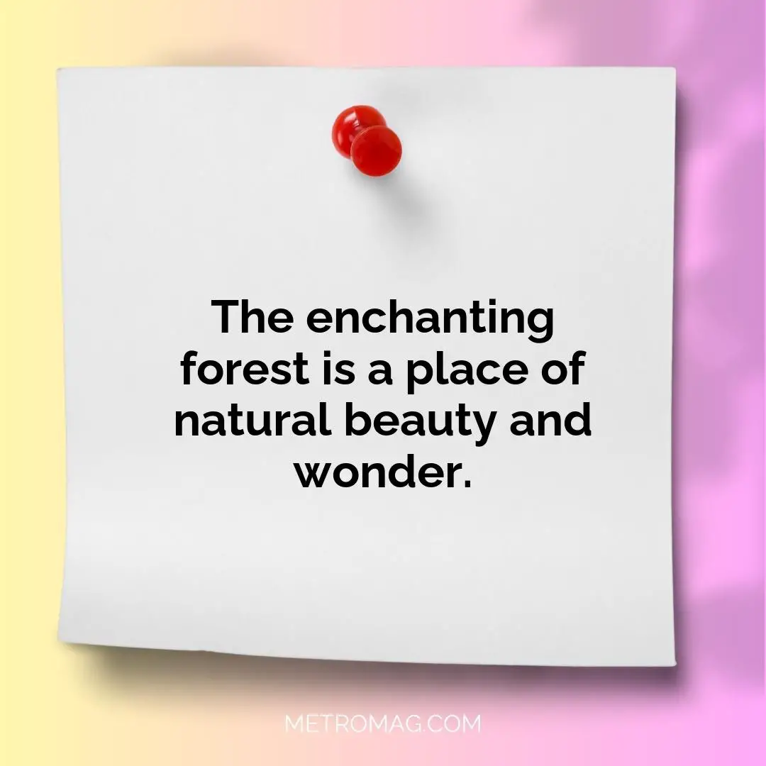 The enchanting forest is a place of natural beauty and wonder.