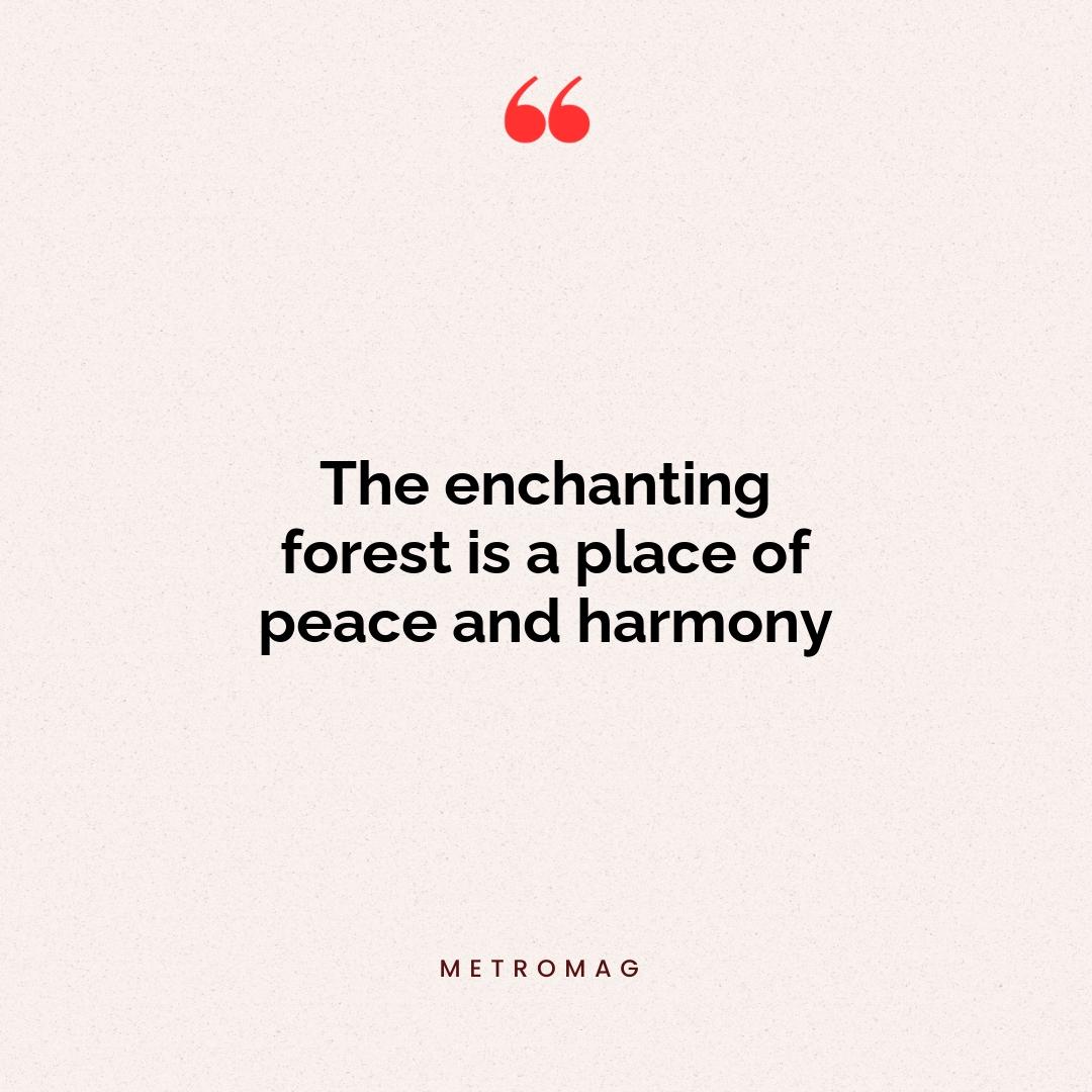 The enchanting forest is a place of peace and harmony