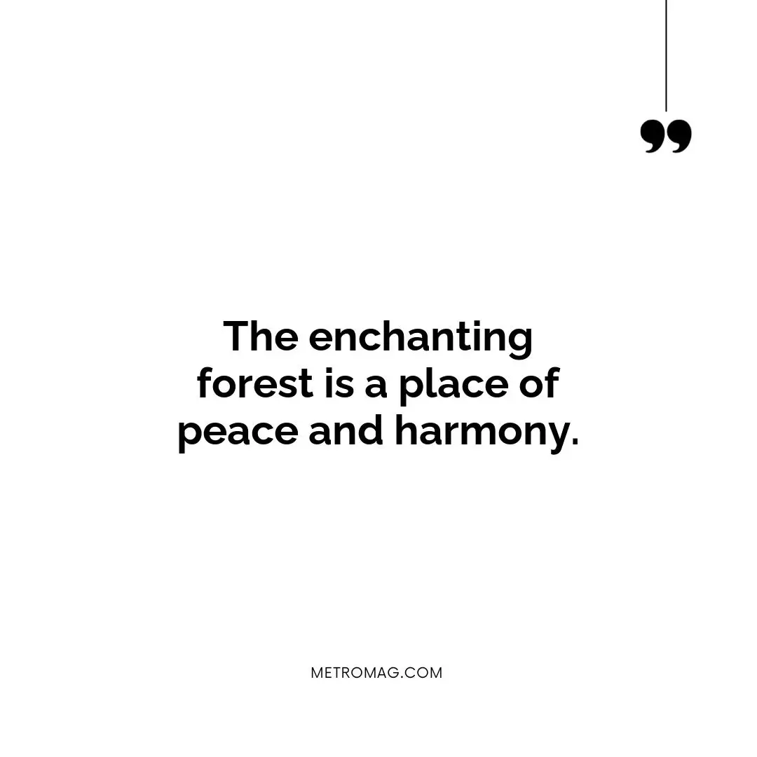 The enchanting forest is a place of peace and harmony.