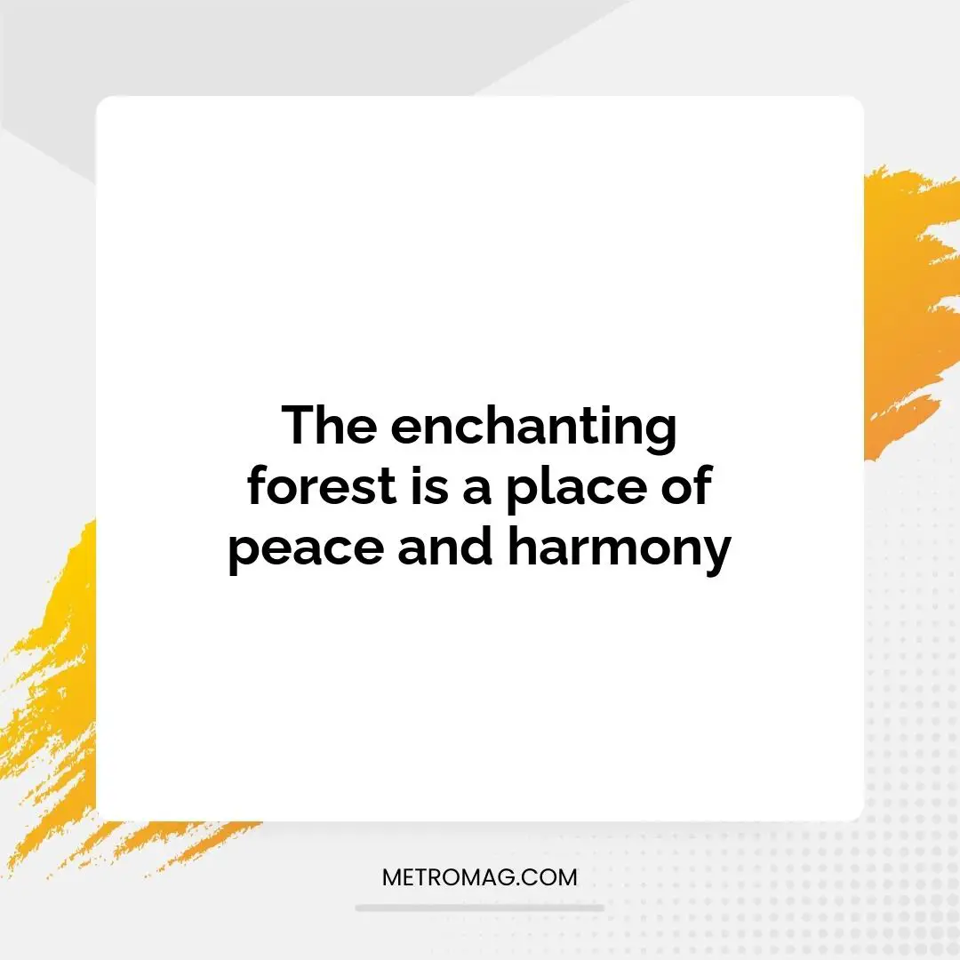 The enchanting forest is a place of peace and harmony