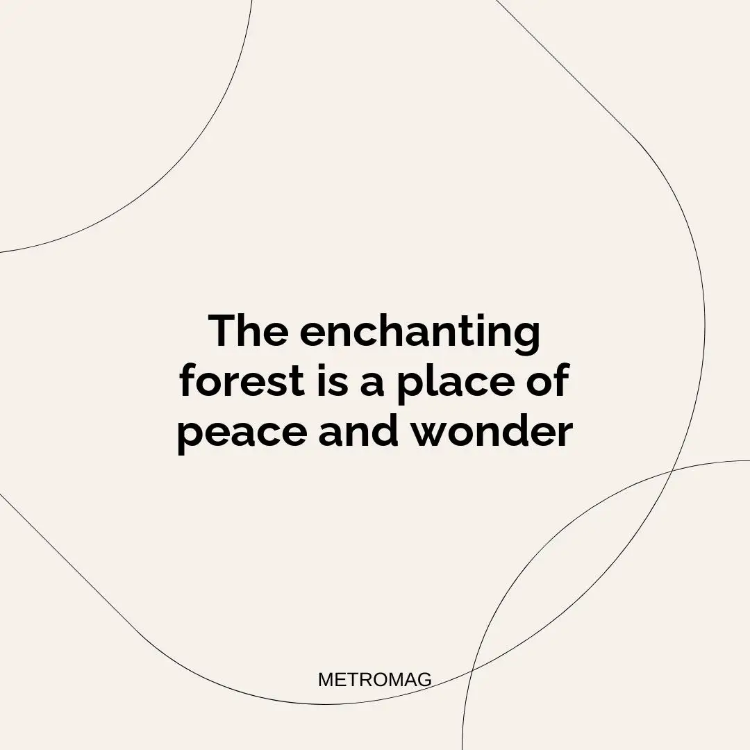 The enchanting forest is a place of peace and wonder