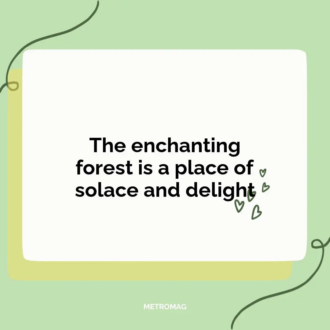 The enchanting forest is a place of solace and delight