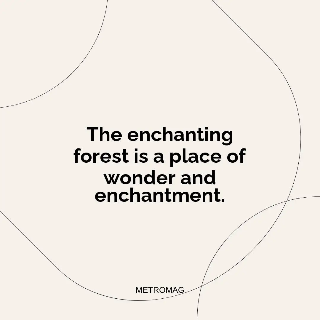 The enchanting forest is a place of wonder and enchantment.