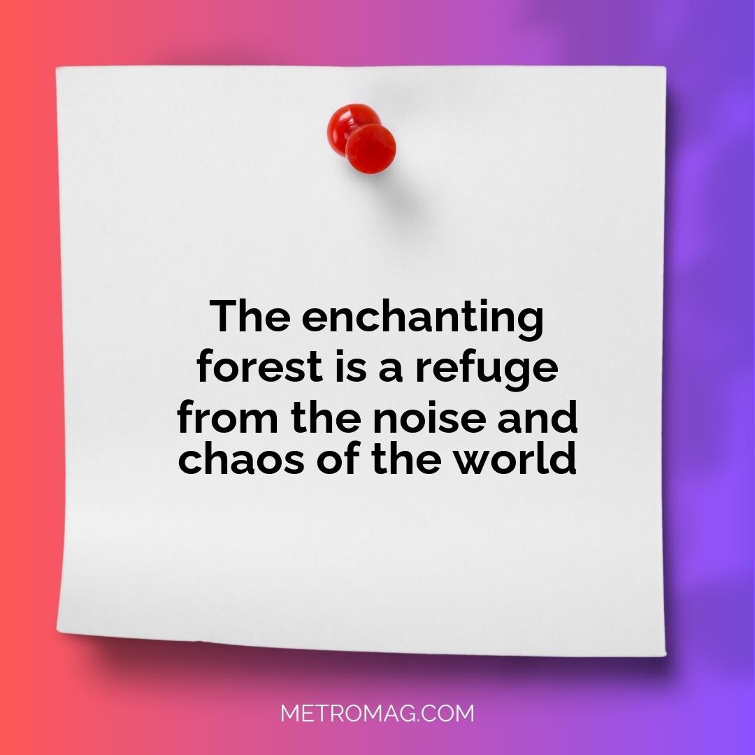 The enchanting forest is a refuge from the noise and chaos of the world