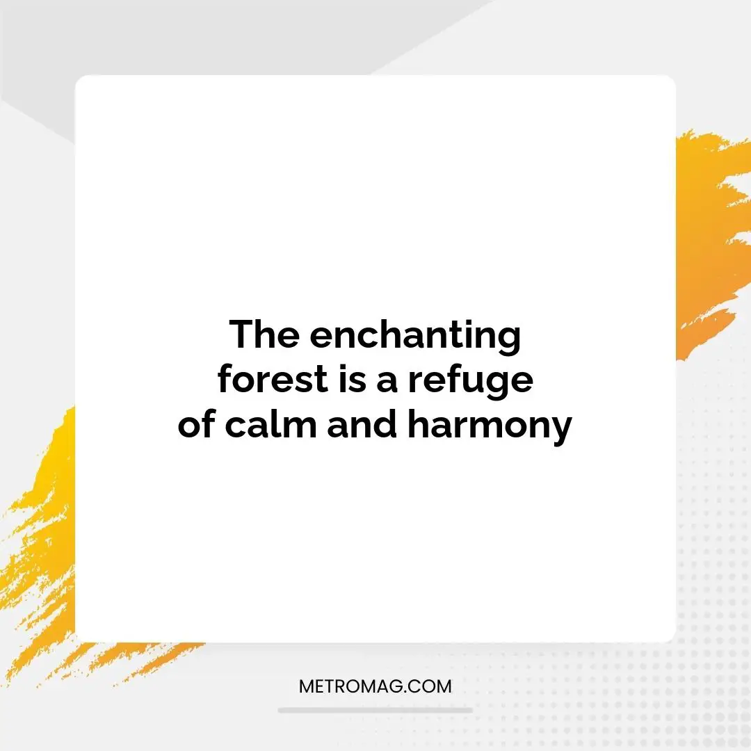 The enchanting forest is a refuge of calm and harmony